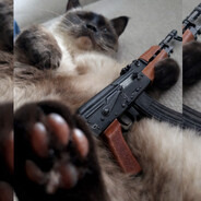 𓆩𒉭༻NikolosonX4༺𒉭