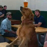 Dick "long'n" Shaven