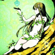 彼时浮华染流年