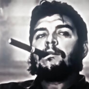 rua熊软糖牌虎酱