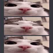 KonaFangirl