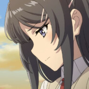 偷包狗，还退款不给活