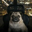 Avatar of player twitch.tv/larpasos