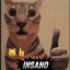 miau