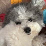 宝贝快看漂亮奶奶来了