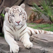 Türkiye Cumhuriyeti