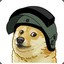 Doge.csgo-happy.ru