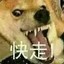 她与熊掌我兼得