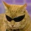 Gato with lentes