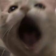 我以为你很强呢