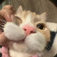 UNCPEEK GaelTheDrunk