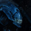 Xenomorph Mom <3's avatar