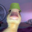 xVispyx
