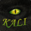 Sous l&#039;oeil de Kali
