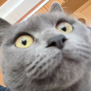 Gold Experience Requiem