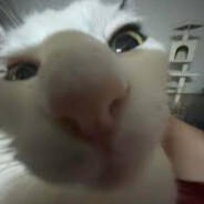 gamer