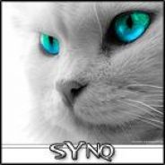 cXX-eSports | 'sYnq aKa mick