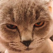 1591793338