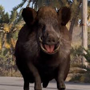 КАБАНЧИК - steam id 76561198122206707