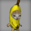 Bananacat