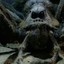 Aragog