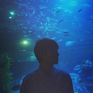 肩带和弓都准备好了