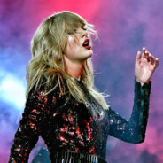 Taylor Swift Enjoyer