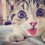 jow