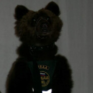 ГИБДД Медведь