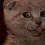 ☼ΩЮБΩЮ Ж℮ну☼