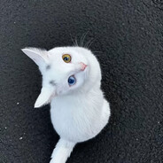 小魚
