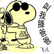 无敌炫酷丶凶残小熊猫