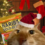 🎄❄️New Year's cat avatar