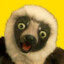 Zoboomafoo