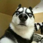 Сильный Сокол