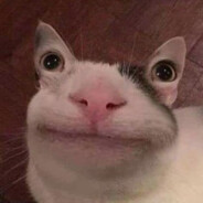 Litteuleee