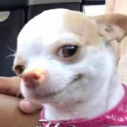 爱如火原唱那艺娜