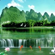 最后一个钩子留给我