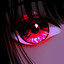 Cven