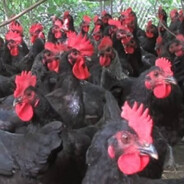 Россия Враг Народ