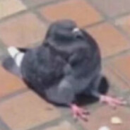 打不出双锤不改名