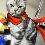 慢慢来最主要快