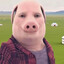 PIG GOD