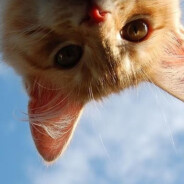 形形色色的人没有形形