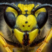 Fishy Hacker's avatar