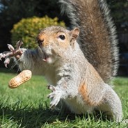 점프할시꼴박마스터함