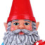 Gnome Gnuts