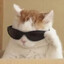 Aboo