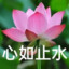 鸿运当头666