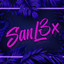 Sanl3x